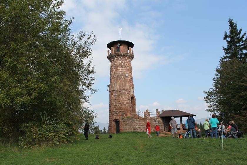Odwiedź cztery niezwykłe wieże widokowe Wzgórz Włodzickich