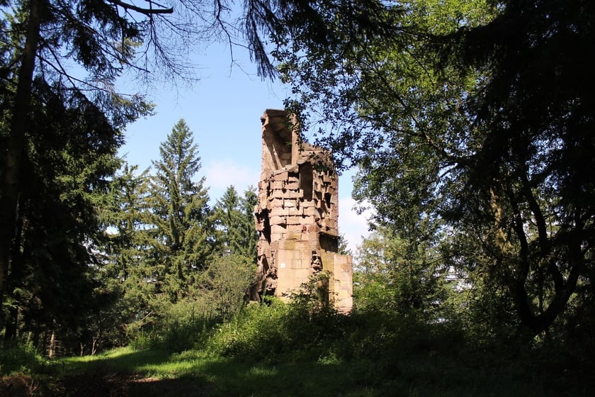 Odwiedź cztery niezwykłe wieże widokowe Wzgórz Włodzickich