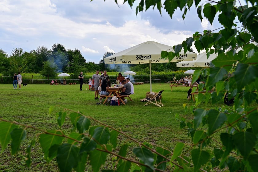 Ranczo Yellowstone w lesie Osobowickim