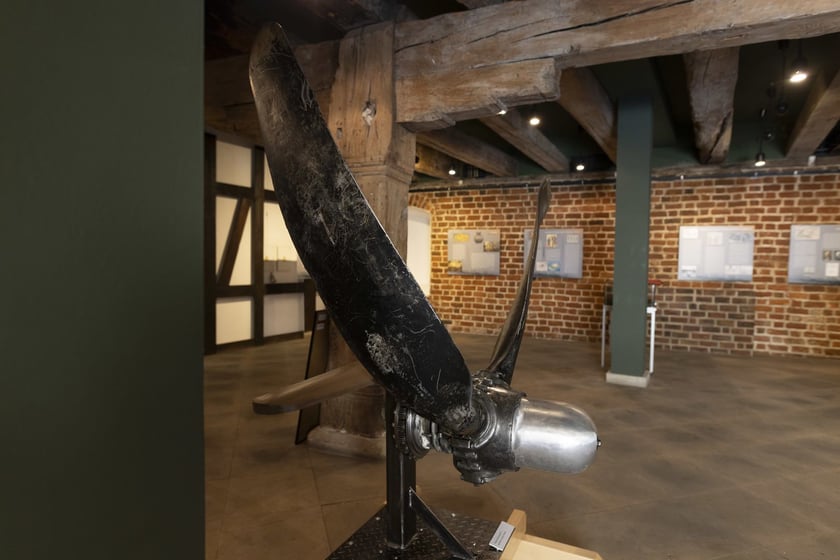 Wystawa Archeologia Pól Bietwnych we wrocławskim Arsenale