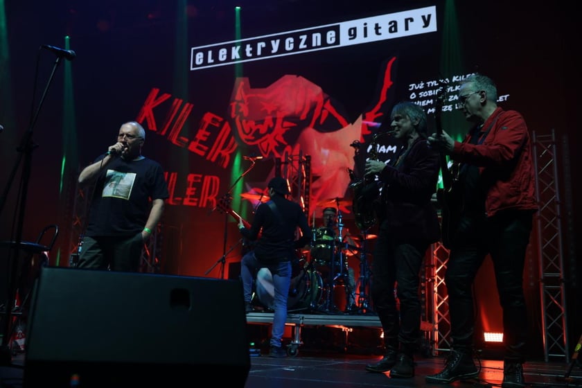 Zagrały gwiazdy IRA, Elektryczne Gitary i T.Love. wROCK for Freedom w Hali Stulecia