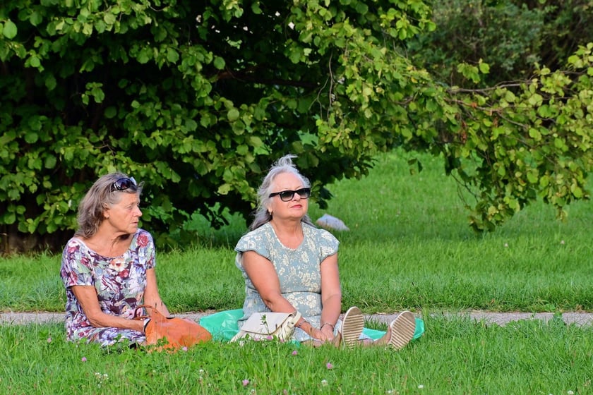 Pierwszy koncert z cyklu "Muzyka w podwórku" zabrzmiał na Gaju w tak zwanym parku słonecznym. Śpiewał Tomasz Krajewski przy akompaniamencie Dominika Mąkosy i Tarasa Bakovskyia
