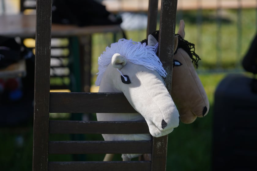 Majówka na Partynicach 2023