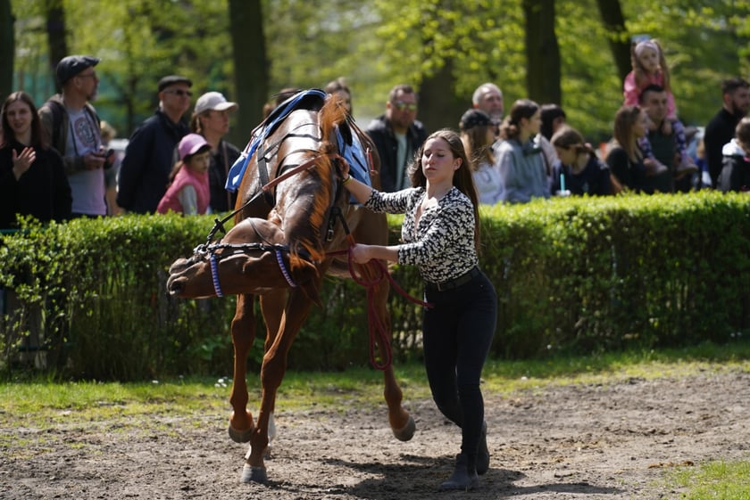Majówka na Partynicach 2023