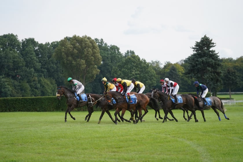 Wielka Wrocławska, gonitwa sezonu na Wrocławskim Torze Wyścigów Konnych Partynice