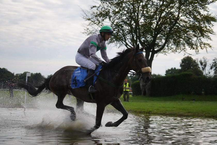 Wielka Wrocławska, gonitwa sezonu na Wrocławskim Torze Wyścigów Konnych Partynice