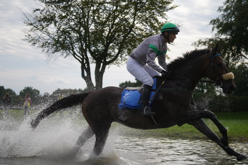 Wielka Wrocławska, gonitwa sezonu na Wrocławskim Torze Wyścigów Konnych Partynice