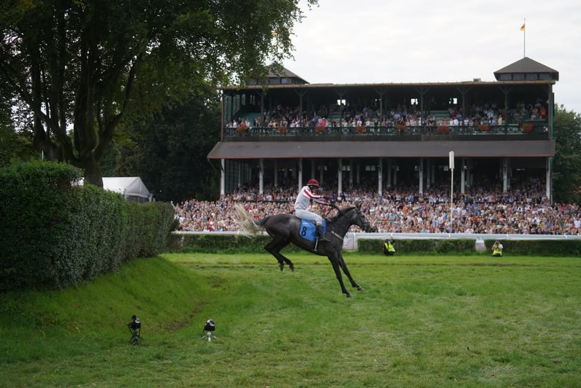 Wielka Wrocławska, gonitwa sezonu na Wrocławskim Torze Wyścigów Konnych Partynice
