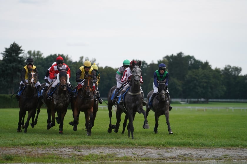 Wielka Wrocławska, gonitwa sezonu na Wrocławskim Torze Wyścigów Konnych Partynice