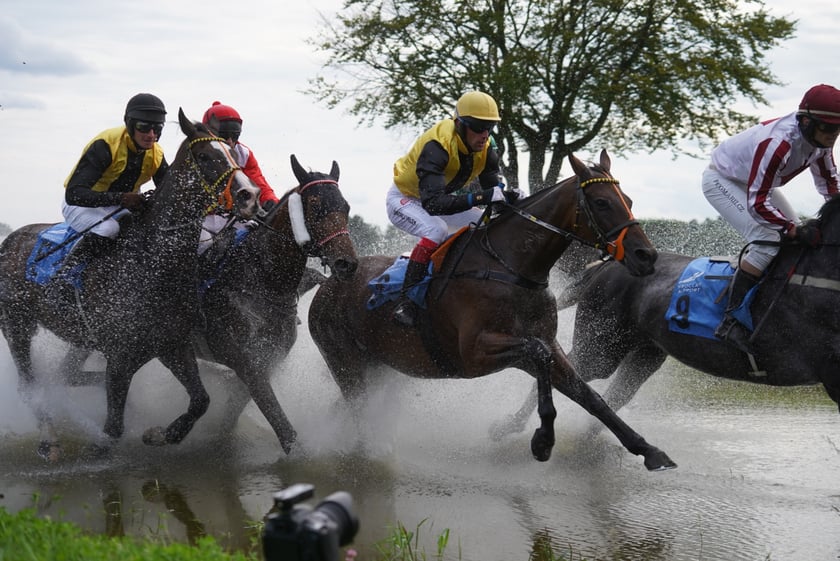 Wielka Wrocławska, gonitwa sezonu na Wrocławskim Torze Wyścigów Konnych Partynice