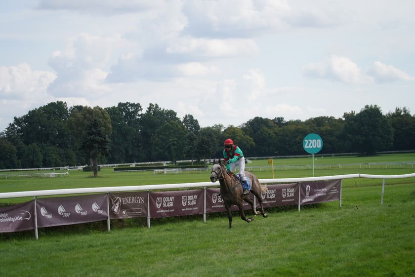 Wielka Wrocławska, gonitwa sezonu na Wrocławskim Torze Wyścigów Konnych Partynice