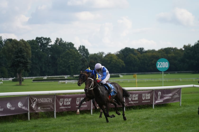 Wielka Wrocławska, gonitwa sezonu na Wrocławskim Torze Wyścigów Konnych Partynice