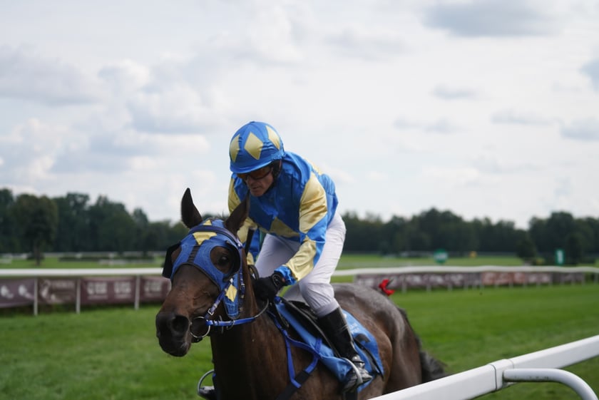 Wielka Wrocławska, gonitwa sezonu na Wrocławskim Torze Wyścigów Konnych Partynice