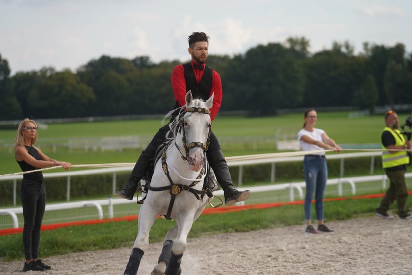 Wielka Wrocławska, gonitwa sezonu na Wrocławskim Torze Wyścigów Konnych Partynice