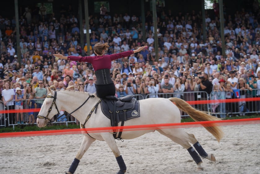 Wielka Wrocławska, gonitwa sezonu na Wrocławskim Torze Wyścigów Konnych Partynice