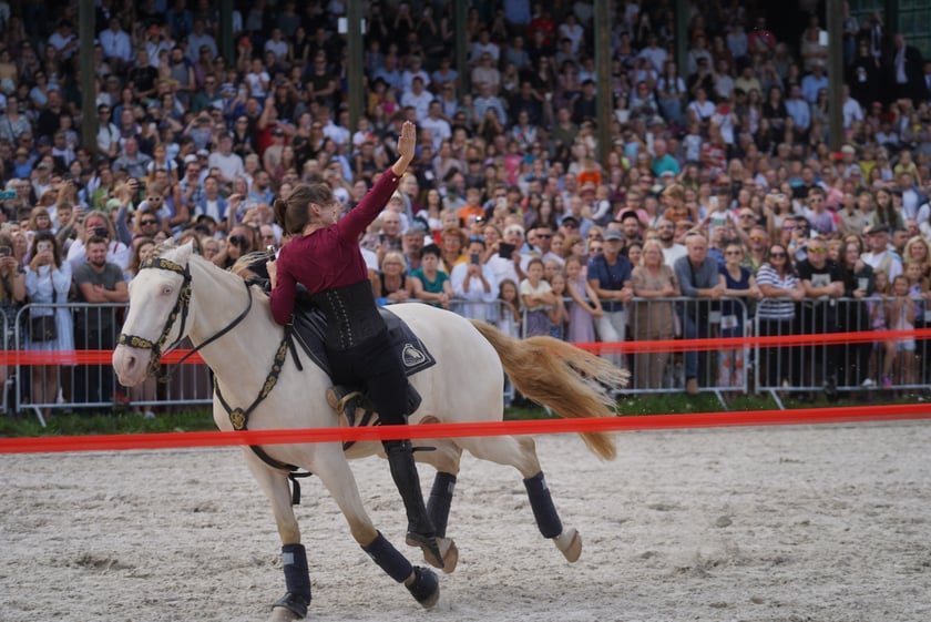 Wielka Wrocławska, gonitwa sezonu na Wrocławskim Torze Wyścigów Konnych Partynice