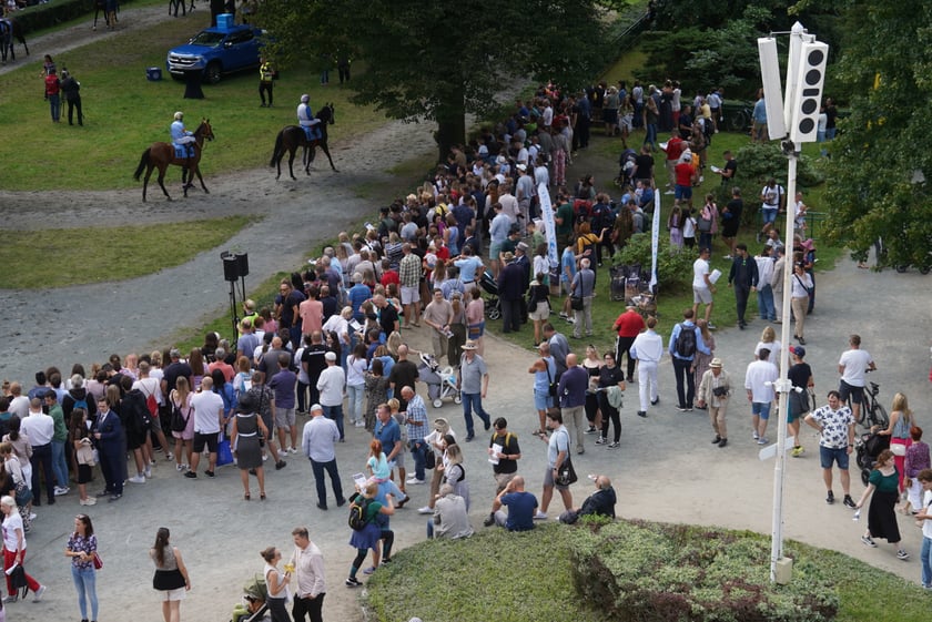Wielka Wrocławska, gonitwa sezonu na Wrocławskim Torze Wyścigów Konnych Partynice