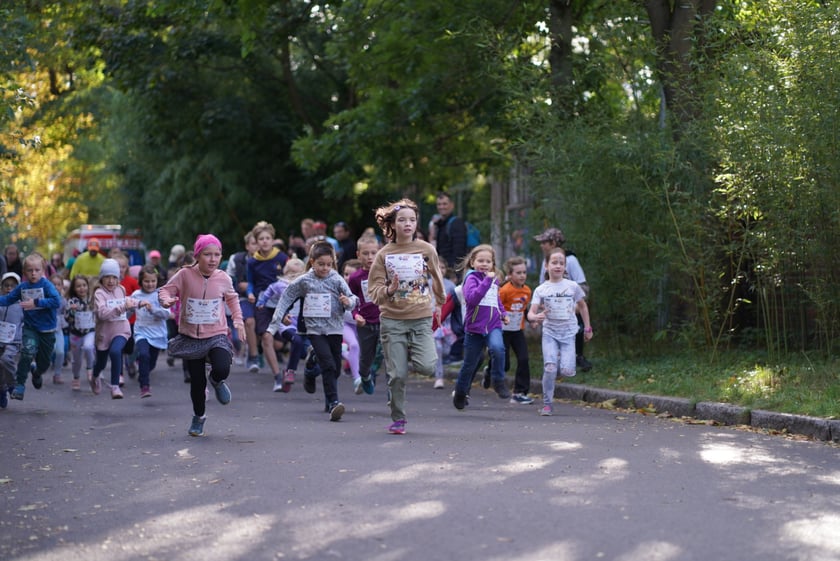 Wild Run 2023 we Wrocławiu.