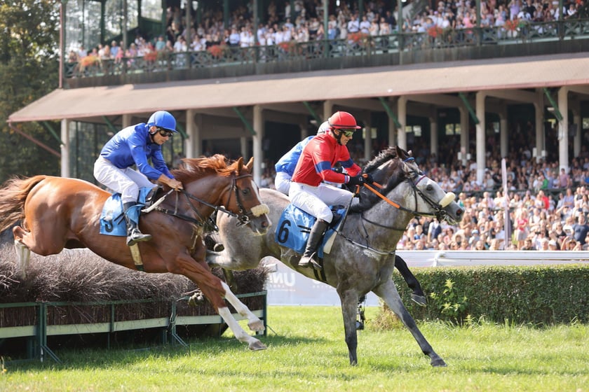 Wielka Wrocławska na Partynicach, 1 września 2024