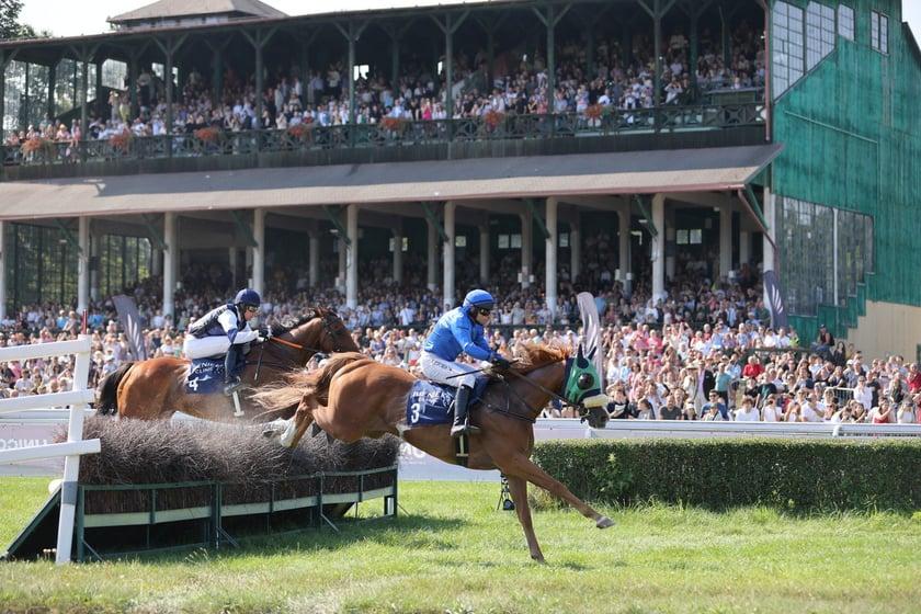 Wielka Wrocławska na Partynicach, 1 września 2024