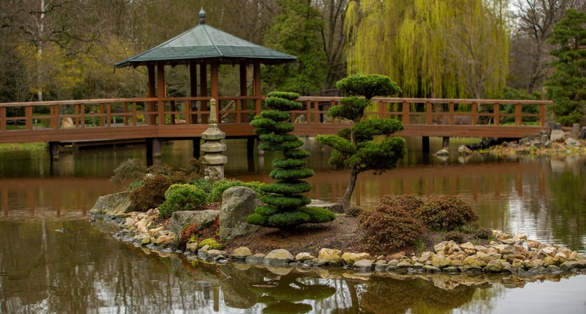 Podczas jednej z wycieczek można zwiedzić park Japoński