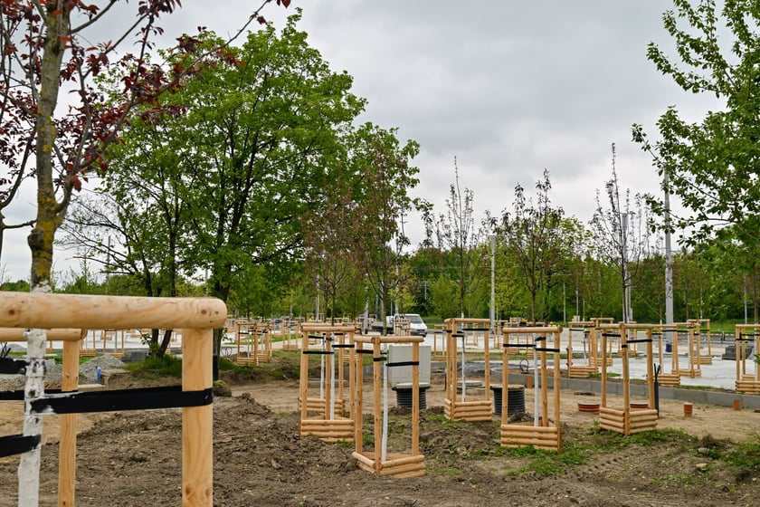 TAT kończy się pętlą "Rogowska". Niewykluczone, że będzie to najładniejsza wrocławska pętla tramwajowa.