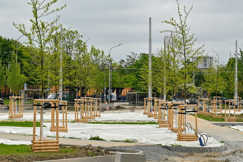 TAT kończy się pętlą "Rogowska". Niewykluczone, że będzie to najładniejsza wrocławska pętla tramwajowa.
