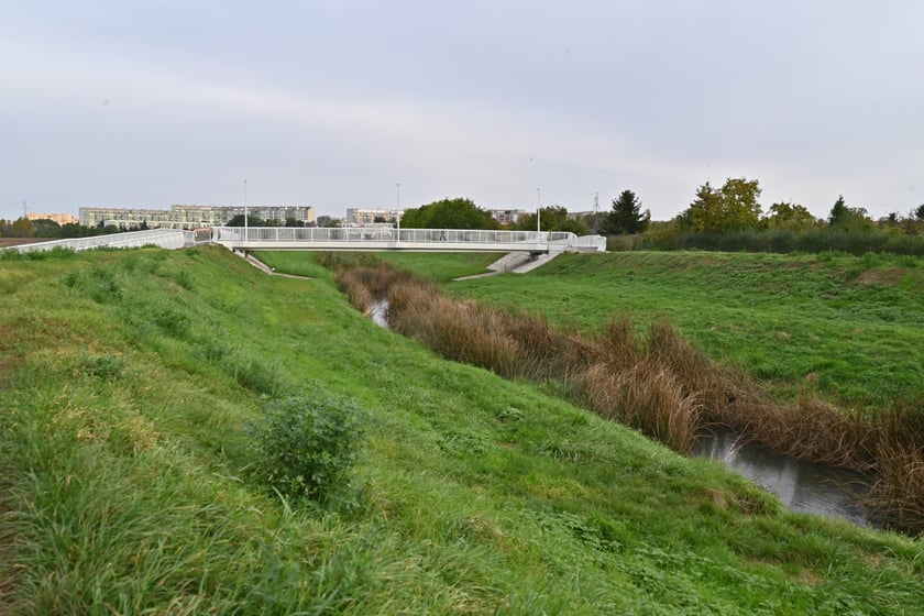 Kładka nad Ślęzą łącząca Muchobór Mały z Muchoborem Wielkim.