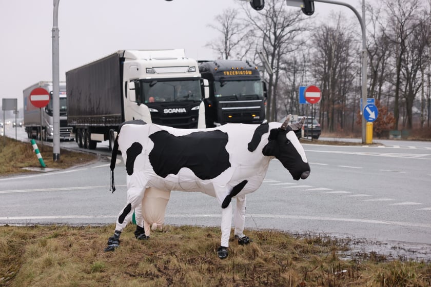 Protest rolników na drogach Dolnego Śląska 9 lutego