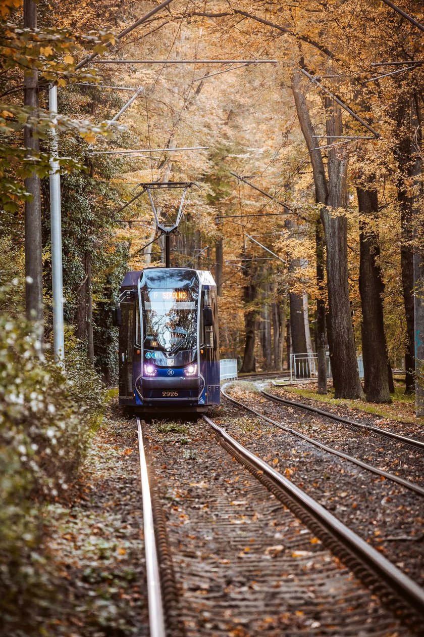 Zdjęcie wyróżnione w konkurs fotograficznym "Kalendarz MPK 2025"