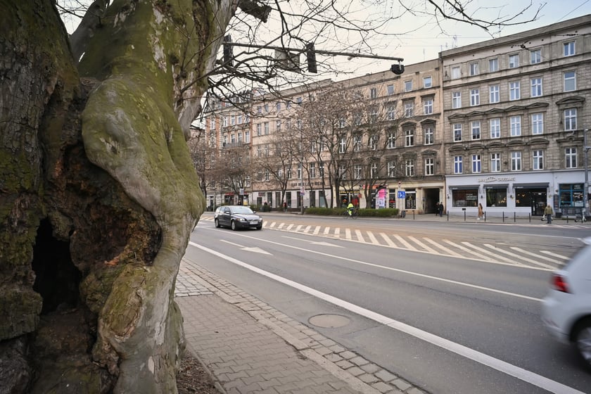 Skrzyżowanie Drobnera z Dubois