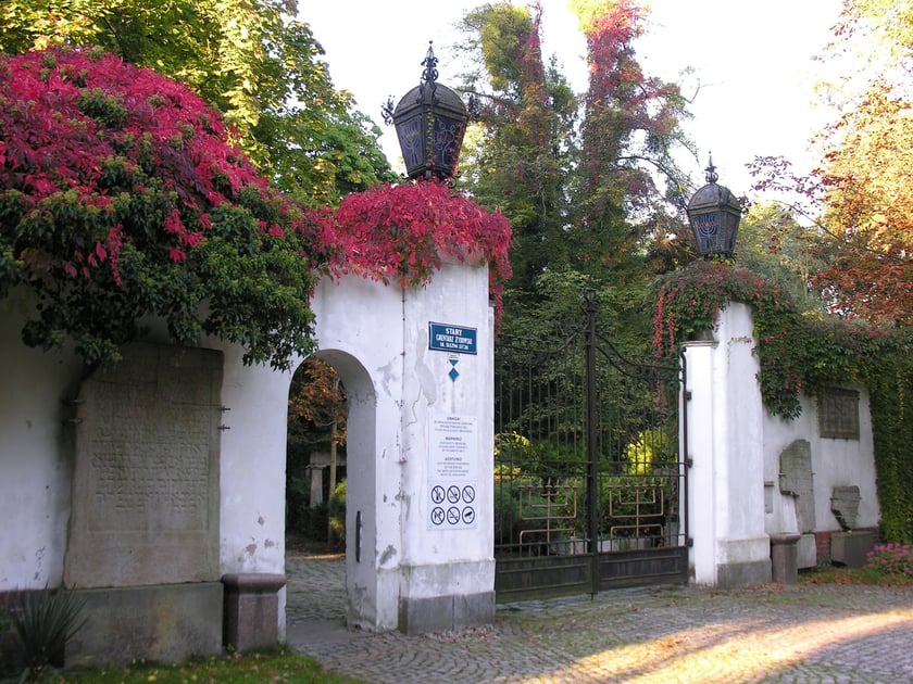 Stary Cmentarz Żydowski we Wrocławiu