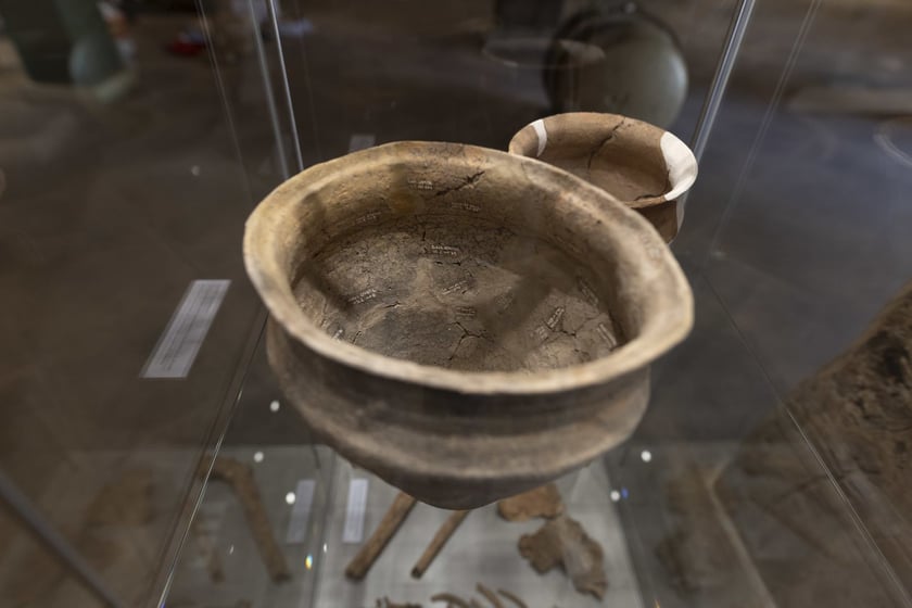 Wystawa Archeologia Pól Bietwnych we wrocławskim Arsenale