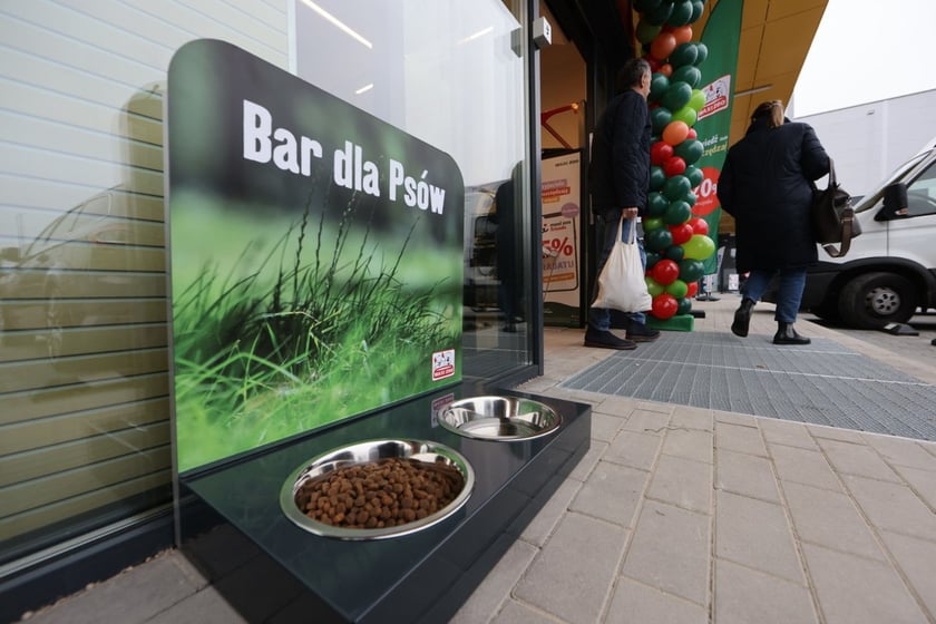 W centrum handlowym Długosza 66 są kolejne we Wrocławiu sklepy sieci handlowych takich jak: Dealz, Action, Tedi, Maxi Zoo, KiK, Rossmann i Pepco.