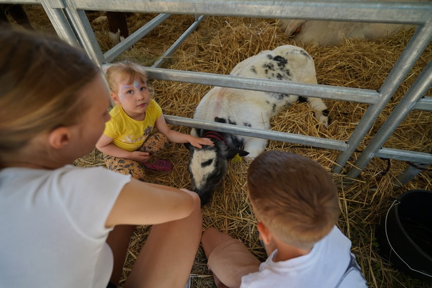 Smakołyki i pyszności. Na Zwycięskiej królują wiejskie specjały i dorodne zwierzęta [ZDJĘCIA]
