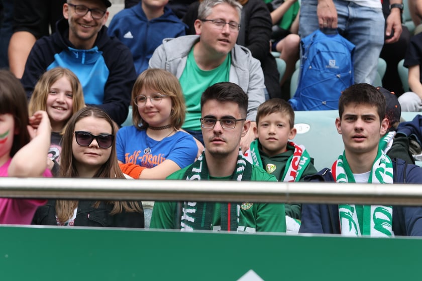 Śląsk Wrocław - Wisła Płock 3:1