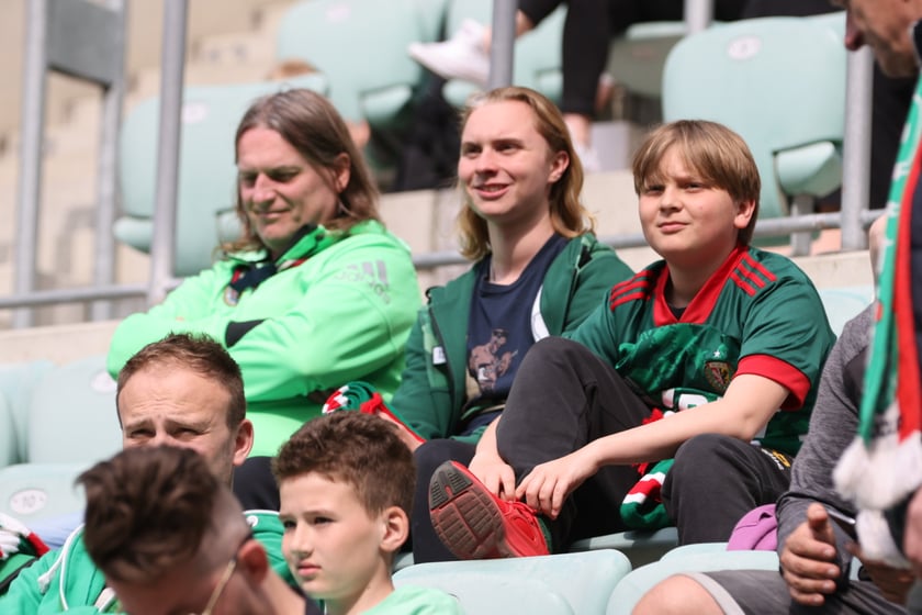 Śląsk Wrocław - Wisła Płock