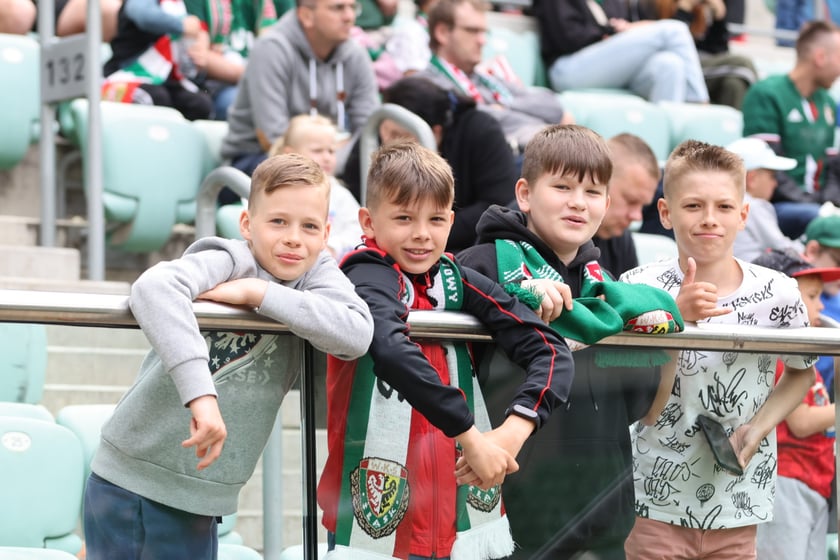 Śląsk Wrocław - Wisła Płock