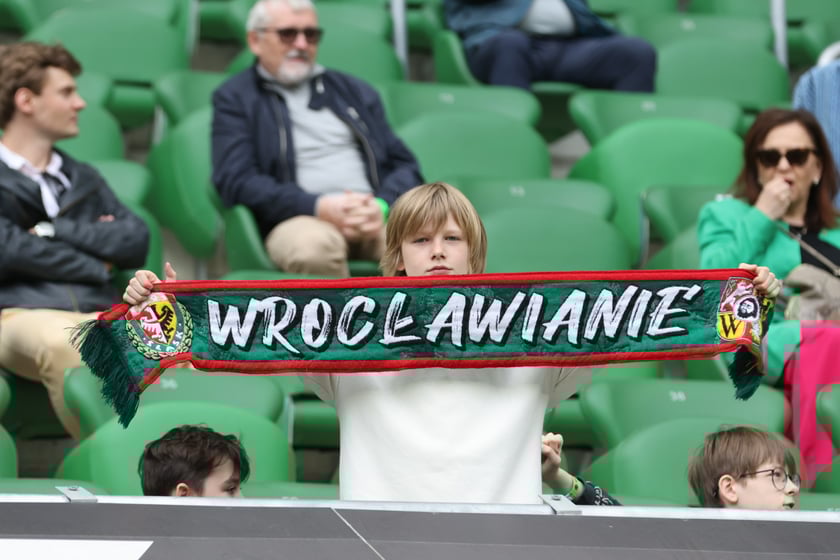 Śląsk Wrocław - Wisła Płock 3:1