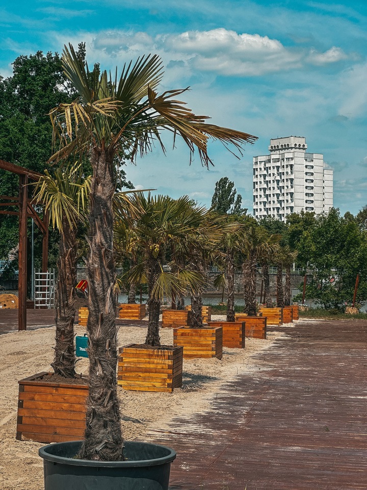 Beach Bar Port Węglowy