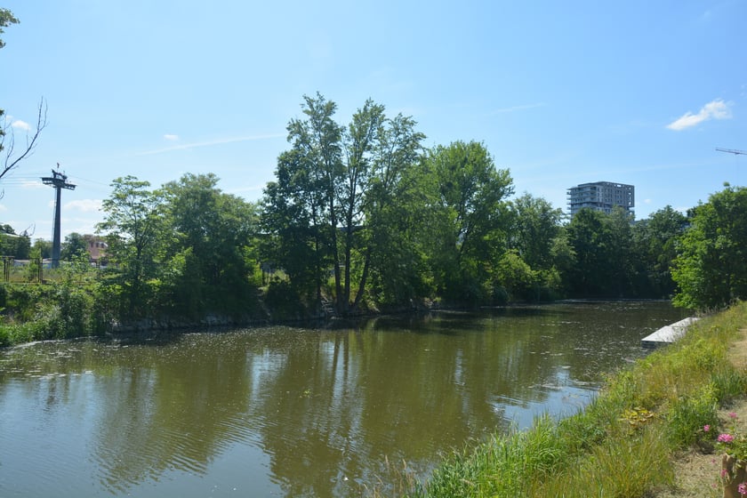Otwarcie Beach Baru Port Węglowy, 31 maja 2023 roku
