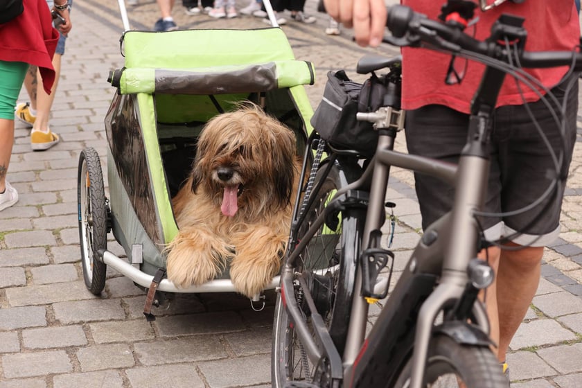 gwiazdy żużla na wrocławskim Rynku, 27.07.2023