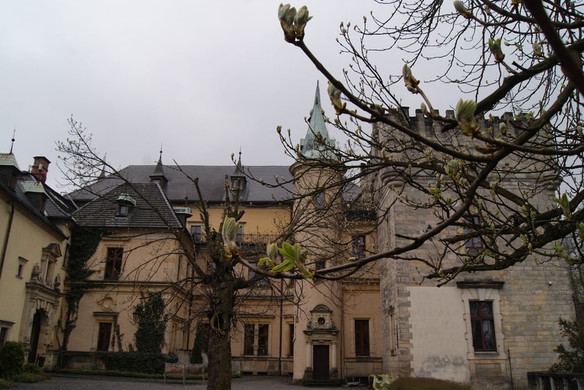 Zamek Kliczk&oacute;w (dziś mieści się w nim hotel i SPA, ale zamek można też zwiedzać z przewodnikiem) jest przyjazny dzieciom. Znajdą tam salę zabaw, basen (w jego miejscu była kiedyś kryta ujeżdżalnia), korytarze, po kt&oacute;rych można biegać, i oczywiście wnętrza, kt&oacute;re powinny spodobać się księżniczkom i rycerzom: z marmurowymi schodami, wielkimi żyrandolami itd. 
&ndash; Przy zamku są stajnie, więc można też pojeździć konno albo wybrać się na spacer bryczką &ndash; m&oacute;wi Monika Bronowicka. &ndash; Zamek jest też świetną bazą wypadową do zwiedzania Bor&oacute;w Dolnośląskich z ich wszystkimi atrakcjami: pięknymi widokami, cmentarzem koni, leśną pasieką i niesamowitymi formacjami skalnymi, w tym&hellip; pupą słonia. 