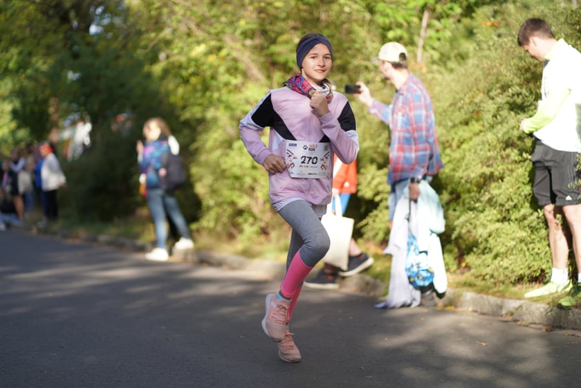 Wild Run 2023 we Wrocławiu.