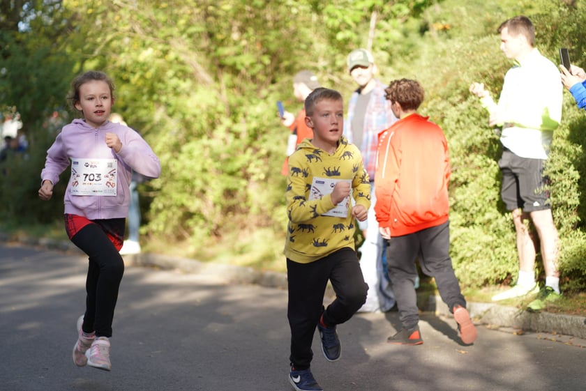 Wild Run 2023 we Wrocławiu.