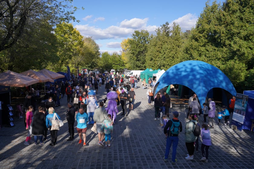 Wild Run 2023 we Wrocławiu.