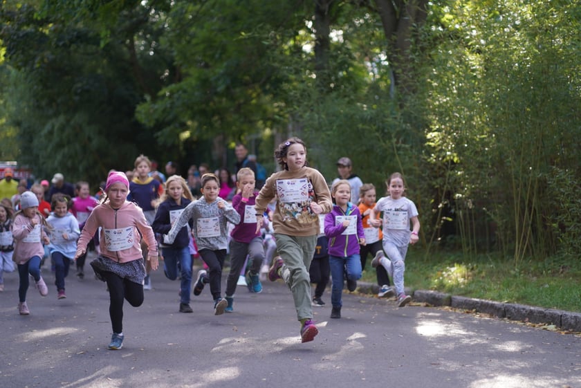 Wild Run 2023 we Wrocławiu.