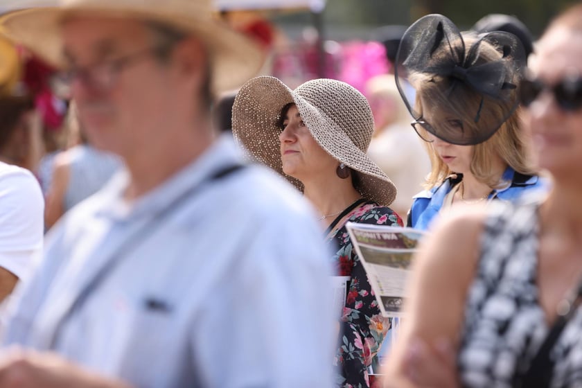 Wielka Wrocławska na Partynicach, 1 września 2024