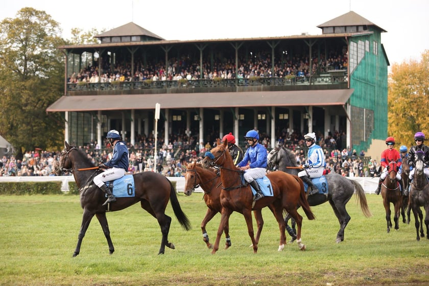 Crystal Cup 2024 na Partynicach