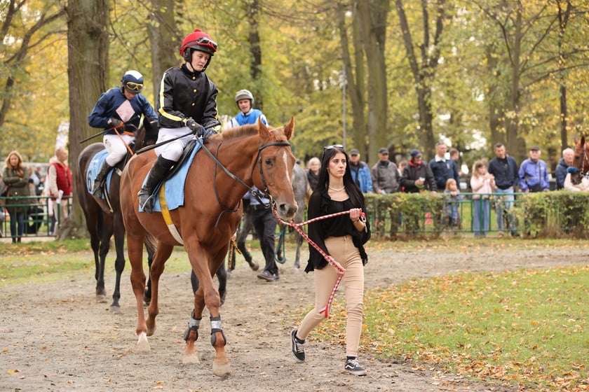 Crystal Cup 2024 na Partynicach